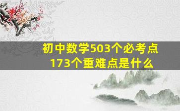 初中数学503个必考点 173个重难点是什么